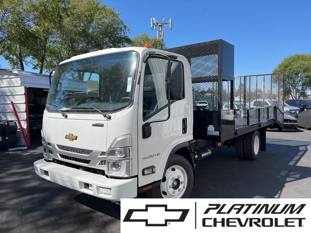 2025 Chevrolet Low Cab Forward 4500 MEDIUM ASH GRAY