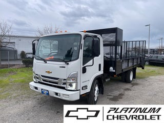 2025 Chevrolet Low Cab Forward 4500 HG MEDIUM ASH GRAY