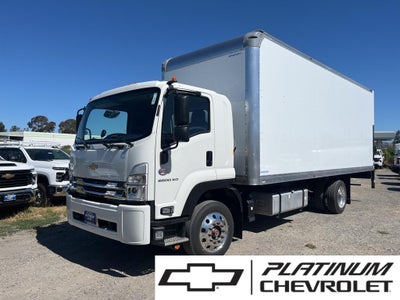 2024 Chevrolet Low Cab Forward 6500 XD MEDIUM ASH GRAY