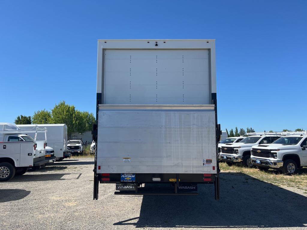 2024 Chevrolet Low Cab Forward 6500 XD MEDIUM ASH GRAY