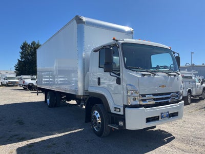 2024 Chevrolet Low Cab Forward 6500 XD MEDIUM ASH GRAY